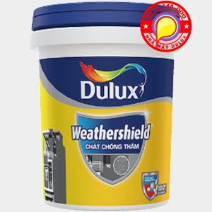 //instakl.com/wp-content/uploads/2020/09/son-chong-tham-dulux-weathershield-chinh-hang-Y65-300x300-1.jpg